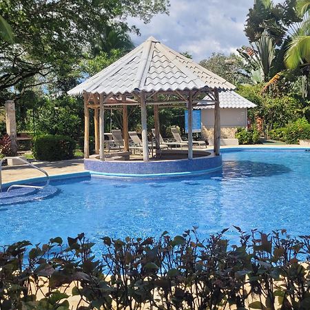 Appartement Tropical Bliss Pool Wi-Fi Bbq Near Quepos Manuel Antonio Extérieur photo