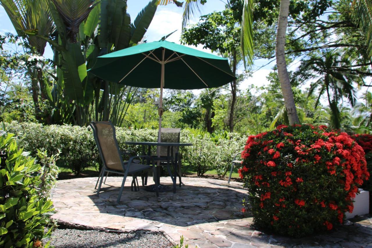 Appartement Tropical Bliss Pool Wi-Fi Bbq Near Quepos Manuel Antonio Extérieur photo