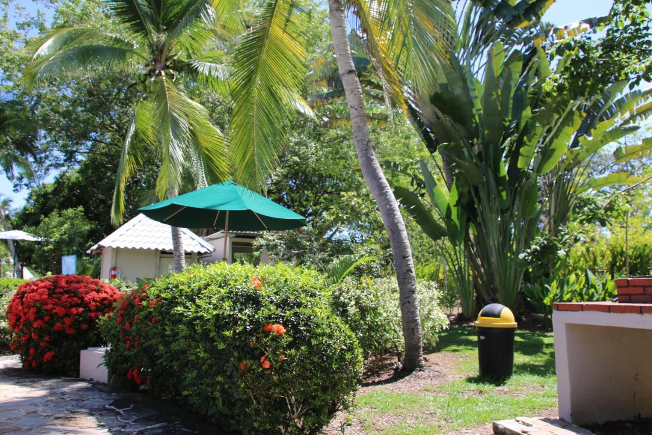 Appartement Tropical Bliss Pool Wi-Fi Bbq Near Quepos Manuel Antonio Extérieur photo